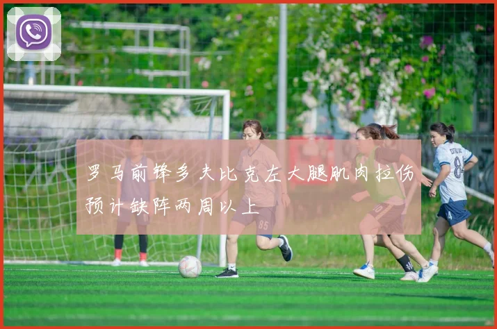 罗马前锋多夫比克左大腿肌肉拉伤预计缺阵两周以上